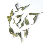 【White Tea】