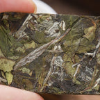 【White Tea】