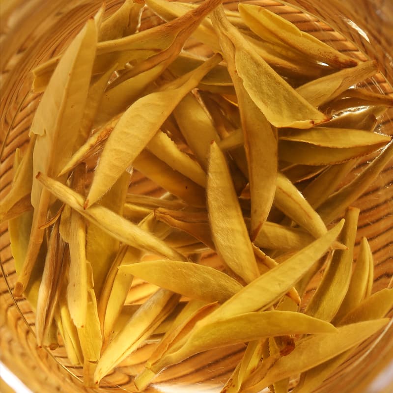 【White Tea】