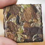 【White Tea】